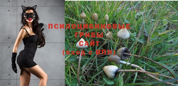 spice Дедовск