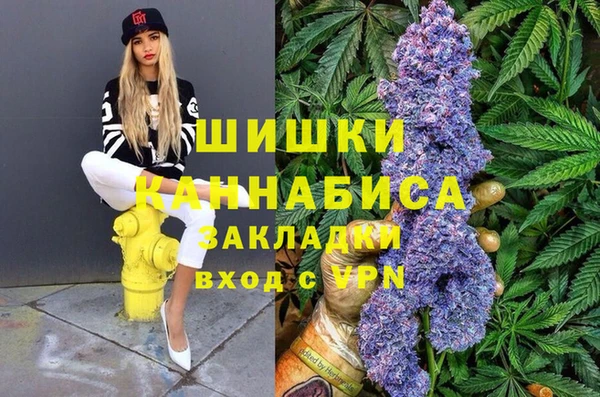 крисы Протвино