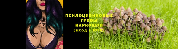 крисы Протвино