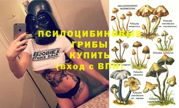 MDMA Premium VHQ Приозерск