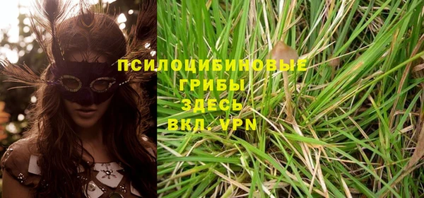 крисы Протвино
