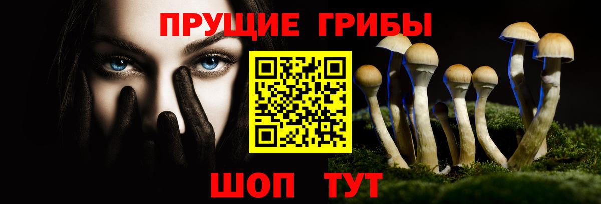 Галлюциногенные грибы мицелий Советск