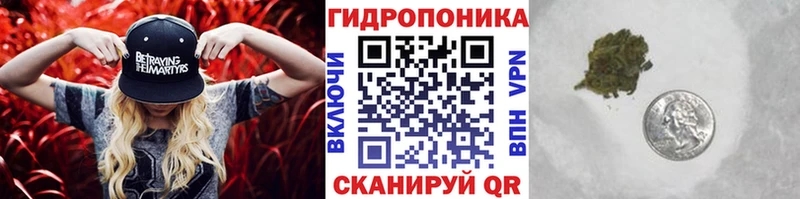 Бошки марихуана конопля Советск