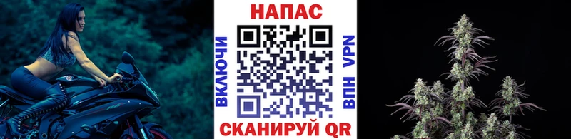 kraken ONION  Советск  Бошки марихуана Amnesia 