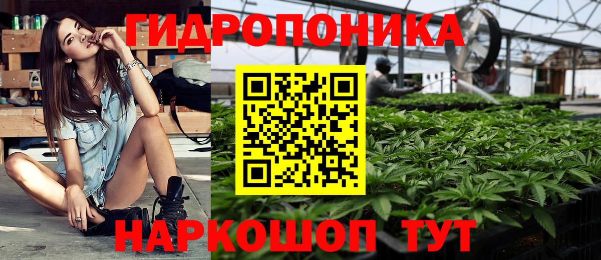 Советск  Канабис Ganja  МАРИХУАНА LSD WEED  Вход с VPN 